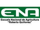 Cliente 15